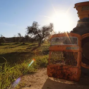  Vakantieboerderij Agricampeggio La Piaggia -